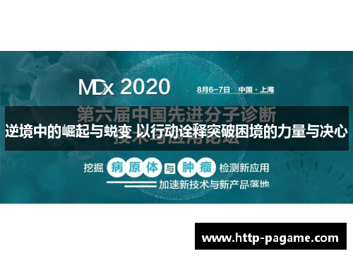 逆境中的崛起与蜕变 以行动诠释突破困境的力量与决心 逆境中的崛起与蜕变 以行动诠释突破困境的力量与决心