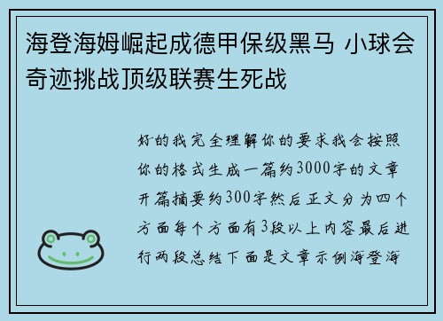 海登海姆崛起成德甲保级黑马 小球会奇迹挑战顶级联赛生死战