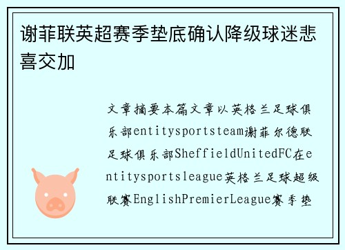 谢菲联英超赛季垫底确认降级球迷悲喜交加